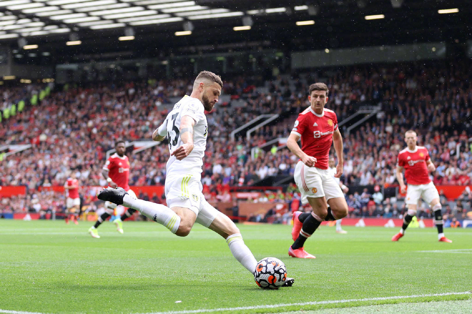 人能够得到 人能够得到